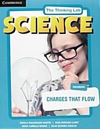 Charges That Flow Flashcards (Other)