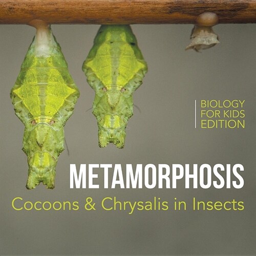 Metamorphosis: Cocoons & Chrysalis in Insects Biology for Kids Edition (Paperback)