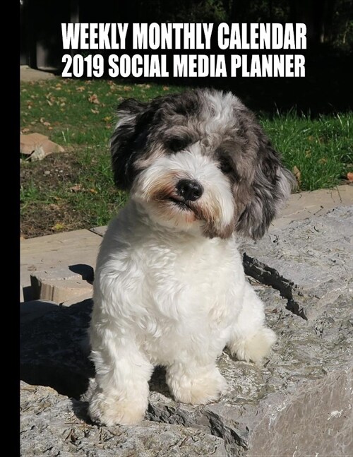 Weekly Monthly Calendar 2019 Social Media Planner: A 12 Month Simple Content Organizer for Teachers, Students and Havanese Dog Lovers (Paperback)