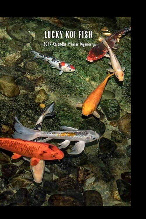 Lucky Koi Fish 2019 Calendar Planner Organizer: Weekly Monthly Engagement Book (Paperback)