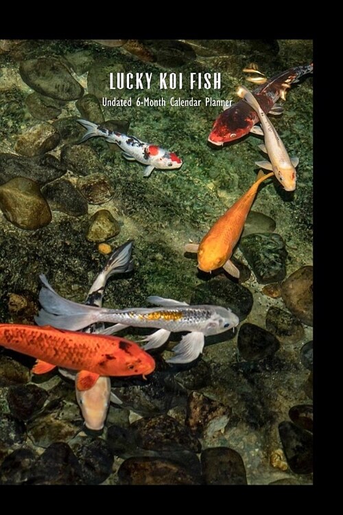 Lucky Koi Fish 6-Month Undated Calendar Planner: Weekly Monthly Organizer and Engagement Book (Paperback)