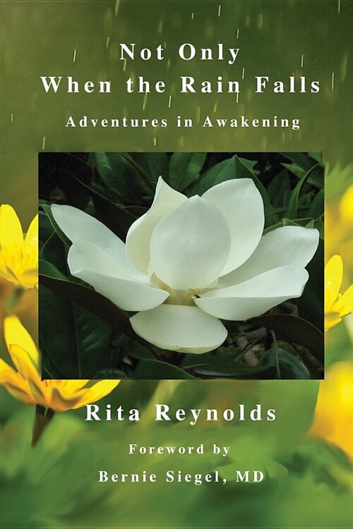 Not Only When the Rain Falls: Adventures in Awakening (Paperback)