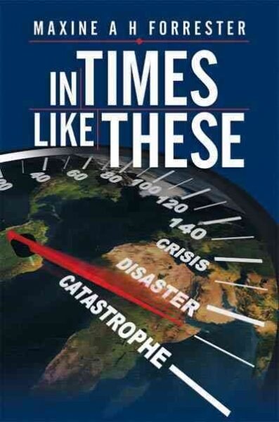 In Times Like These (Paperback)