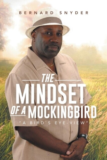 The Mindset of a Mockingbird: A Birds Eye-View (Paperback)