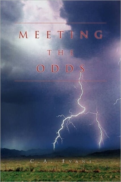 Meeting the Odds (Paperback)