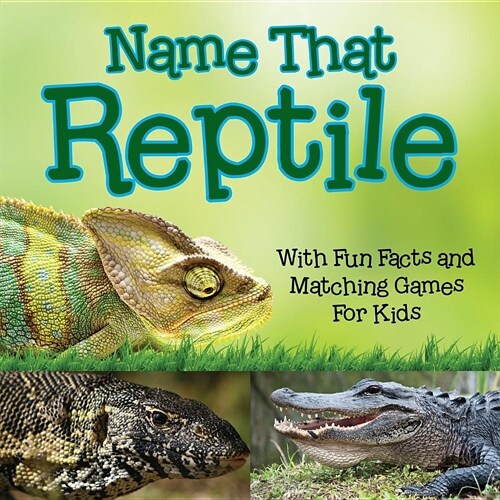 Name That Reptile: With Fun Facts and Matching Games for Kids (Paperback)