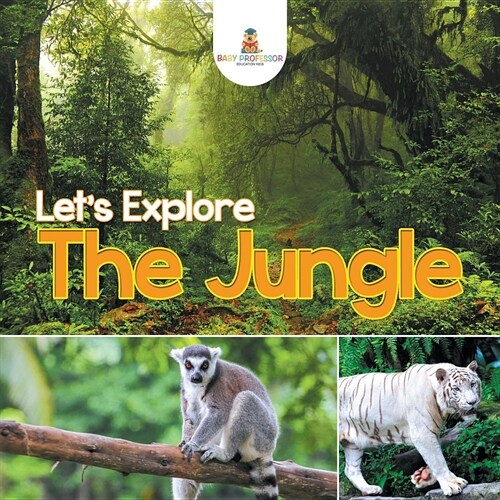 Lets Explore the Jungle (Paperback)