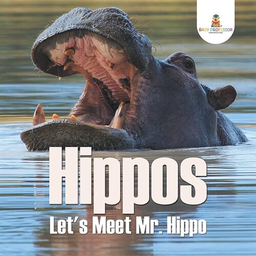 Hippos - Lets Meet Mr. Hippo (Paperback)