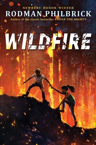 [중고] Wildfire (Hardcover)