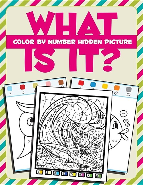 What Is It?: Color by Number Hidden Picture (Paperback)