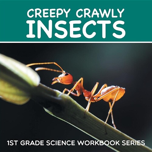 Creepy Crawly Insects: 1st Grade Science Workbook Series (Paperback)