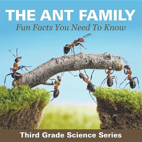 The Ant Family - Fun Facts You Need to Know: Third Grade Science Series (Paperback)