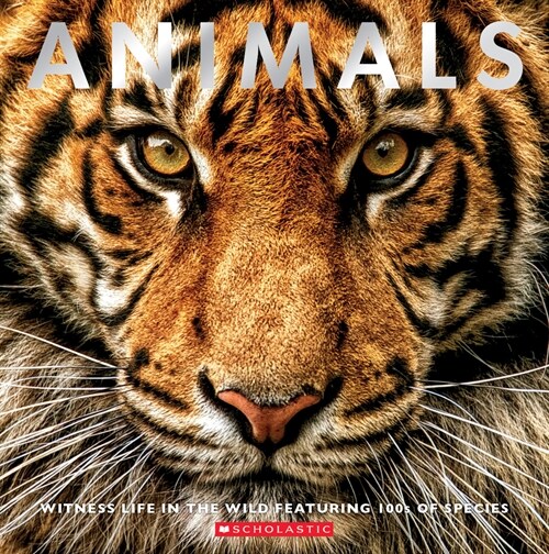 Animals: Witness Life in the Wild Featuring 100s of Species (Paperback)