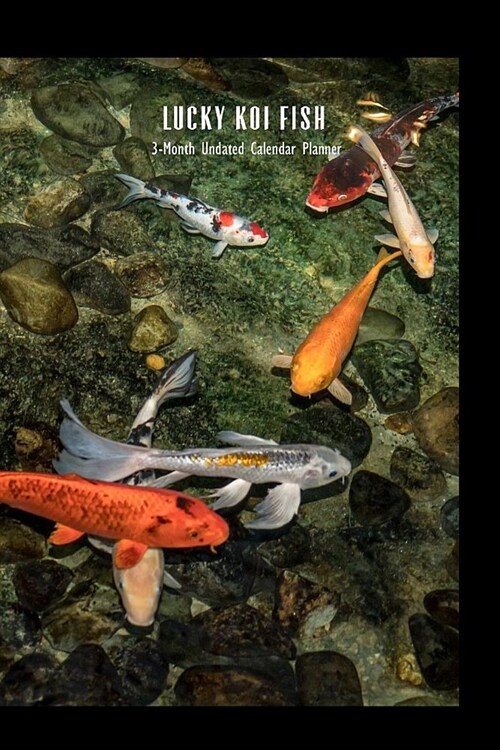Lucky Koi Fish 3-Month Undated Calendar Planner: Weekly Monthly Engagement Book (Paperback)