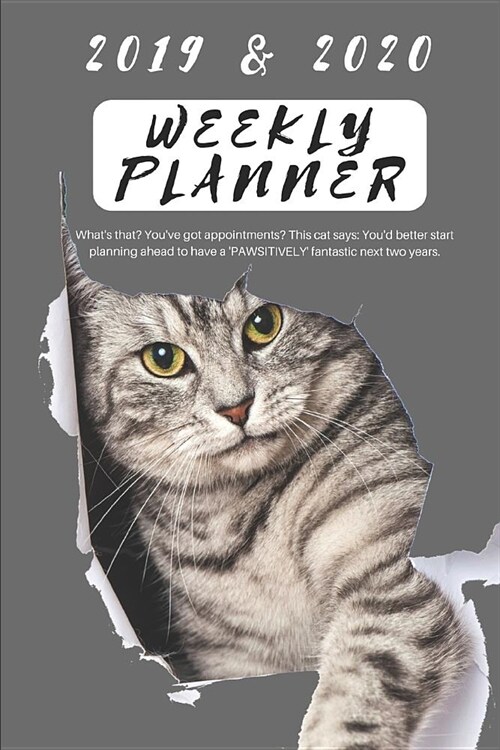 2019 & 2020 Weekly Planner Whats That? Youve Got Appointments? This Cat Says: Youd Better Start Planning Ahead to Have a pawsitively Fantastic Ne (Paperback)