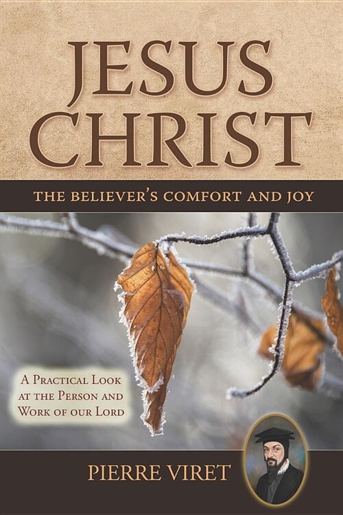 Jesus Christ the Believers Comfort and Joy: A Practical Look at the Person and Work of Our Lord (Paperback)