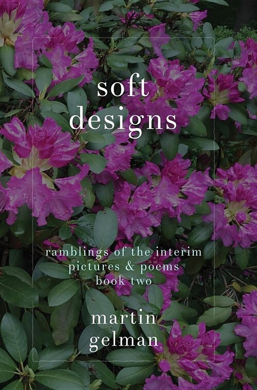 Soft Designs: Ramblings of the Interim Pictures & Poems Book Two (Hardcover)