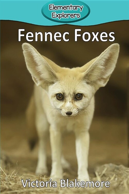 Fennec Foxes (Paperback)