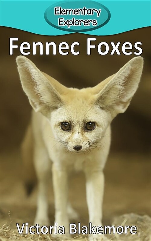 Fennec Foxes (Hardcover)