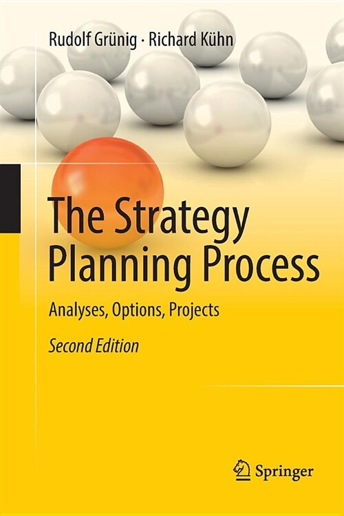 The Strategy Planning Process: Analyses, Options, Projects (Paperback)