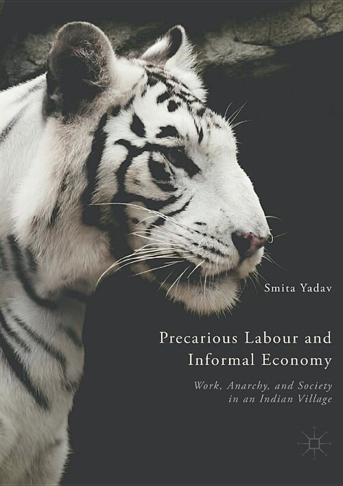 Precarious Labour and Informal Economy: Work, Anarchy, and Society in an Indian Village (Paperback)