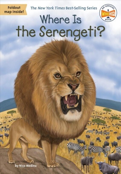 [중고] Where Is the Serengeti? (Paperback, DGS)