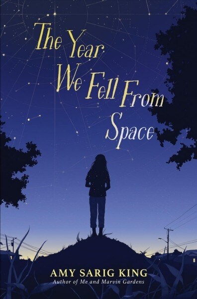 The Year We Fell from Space (Hardcover)