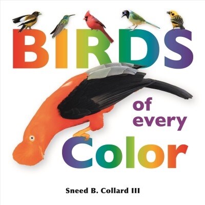 Birds of Every Color (Hardcover)