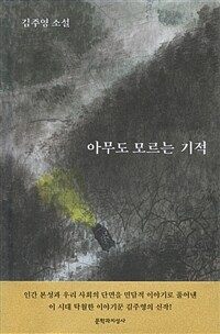 아무도 모르는 기적 :김주영 소설 
