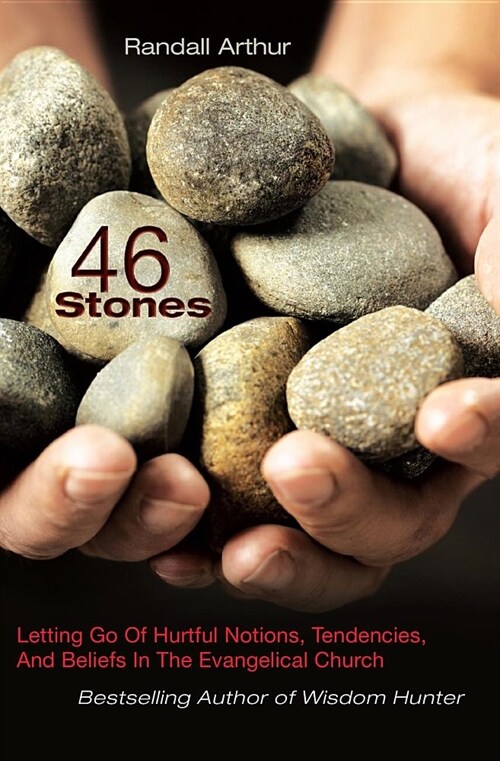 46 Stones: Letting Go of Hurtful Notions, Tendencies, and Beliefs in the Evangelical Church (Paperback)