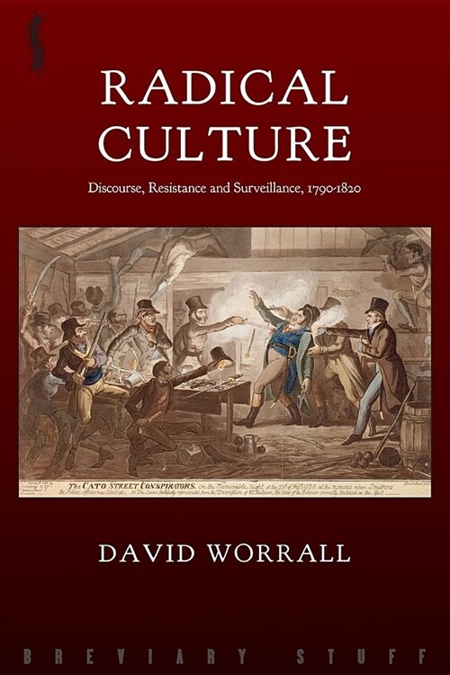 Radical Culture : Discourse, Resistance and Surveillance, 1790-1820 (Paperback, New ed)