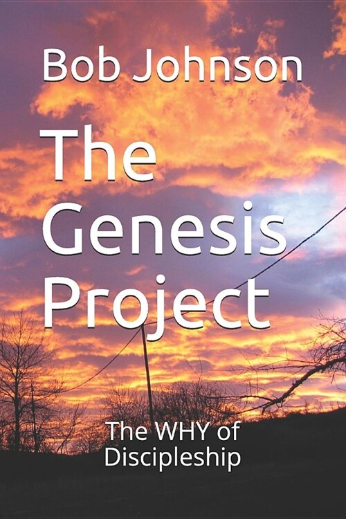 The Genesis Project: The Why of Discipleship (Paperback)