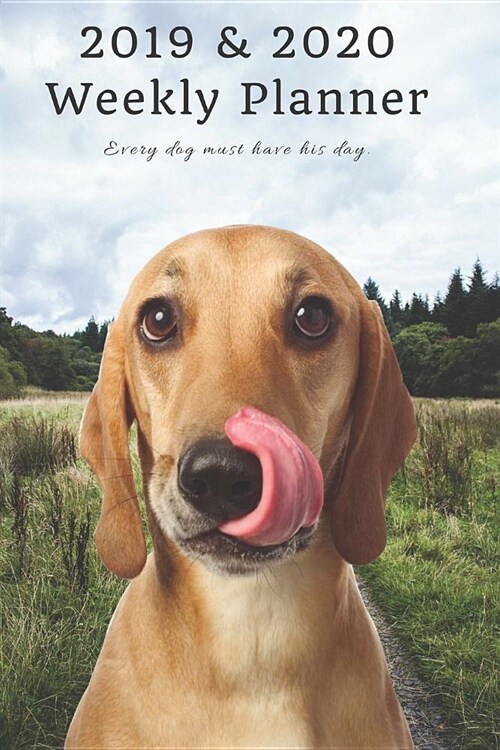 2019 & 2020 Weekly Planner Every Dog Must Have His Day.: Funny Vizsla or Coonhound in Nature: Two Year Agenda Datebook: Plan Goals to Gain & Work to M (Paperback)