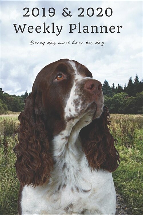 2019 & 2020 Weekly Planner Every Dog Must Have His Day.: Cute Welsh Springer Spaniel Dog in Nature: Two Year Agenda Datebook: Plan Goals to Gain & Wor (Paperback)