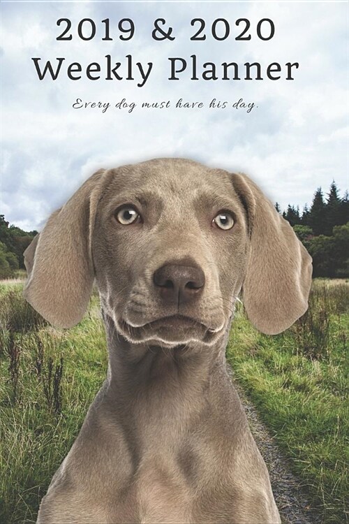 2019 & 2020 Weekly Planner Every Dog Must Have His Day.: Cute Weimaraner Puppy Dog in Nature: Two Year Agenda Datebook: Plan Goals to Gain & Work to M (Paperback)