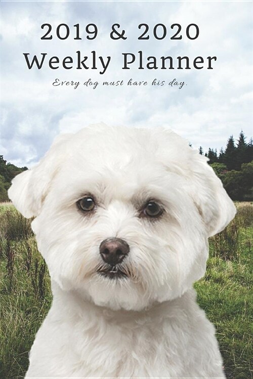 2019 & 2020 Weekly Planner Every Dog Must Have His Day.: Cute Maltese Bichon in Nature: Two Year Agenda Datebook: Plan Goals to Gain & Work to Maintai (Paperback)