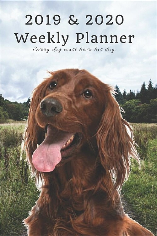 2019 & 2020 Weekly Planner Every Dog Must Have His Day.: Irish Setter in Nature: Two Year Agenda Datebook: Plan Goals to Gain & Work to Maintain Daily (Paperback)