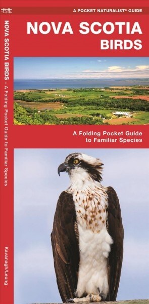Nova Scotia Birds: A Folding Pocket Guide to Familiar Species (Paperback)