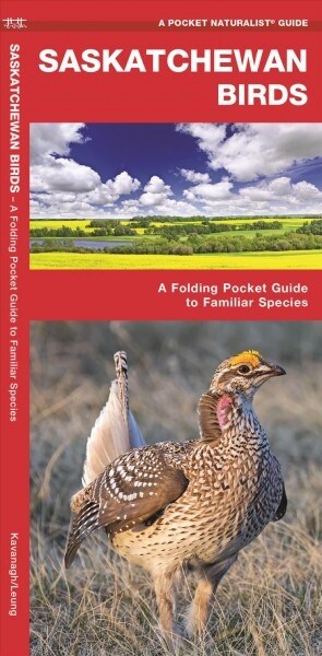Saskatchewan Birds: A Folding Pocket Guide to Familiar Species (Paperback)