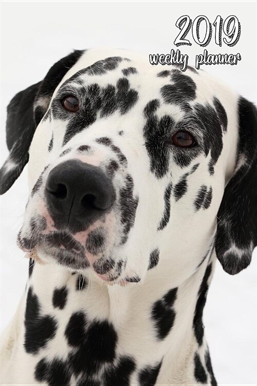 2019 Weekly Planner: 6x9 In. Dalmatian 52 Weekly Calendar Schedule Organizer Appointment Journal Notebook for Dalmatian Fans (Paperback)