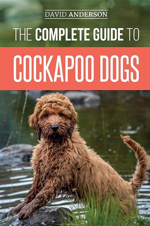 The Complete Guide to Cockapoo Dogs: Everything You Need to Know to Successfully Raise, Train, and Love Your New Cockapoo Dog (Paperback)