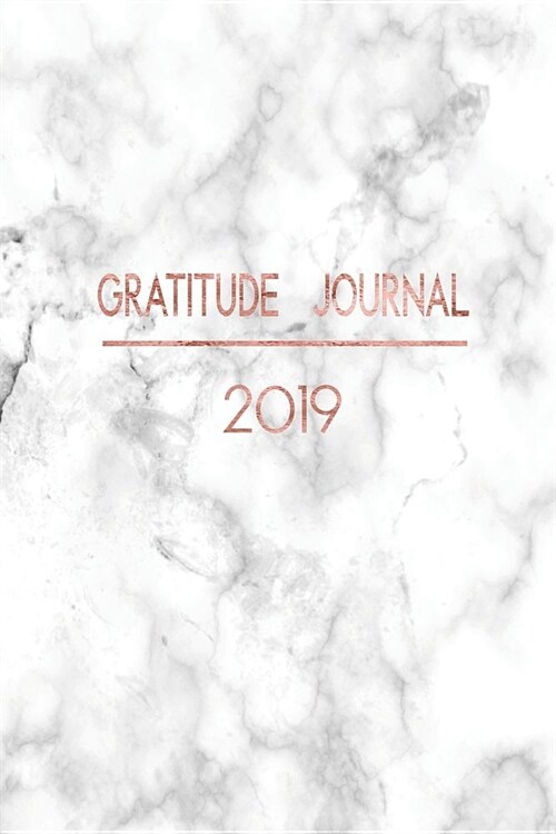 Gratitude Journal 2019: Practice Being Grateful and Thankful. Record Your Lifes Special Memories and Moments in 2019. (Paperback)