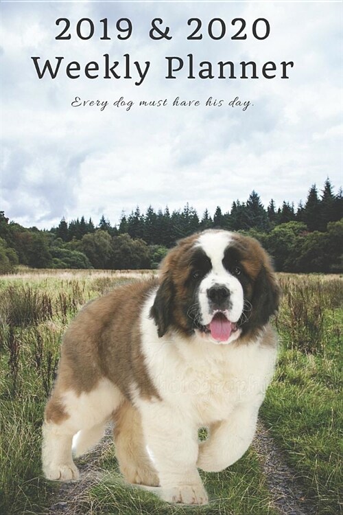 2019 & 2020 Weekly Planner Every Dog Must Have His Day.: Cute Saint Bernard in Nature: Two Year Agenda Datebook: Plan Goals to Gain & Work to Maintain (Paperback)