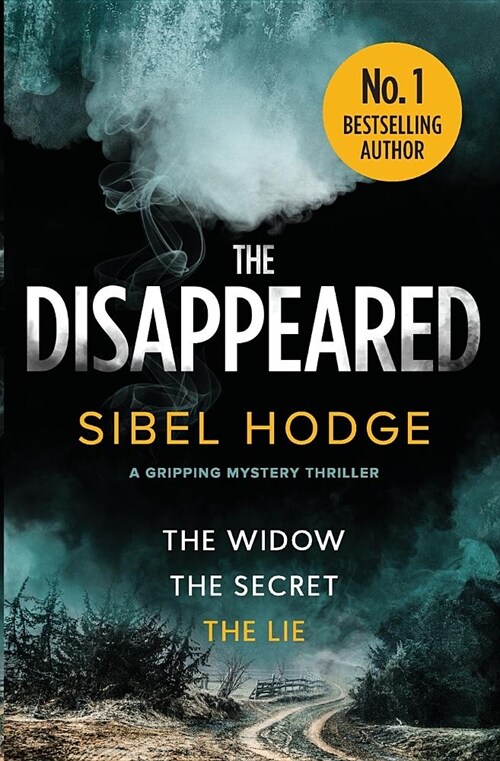 The Disappeared: A Gripping Mystery Thriller (Paperback)