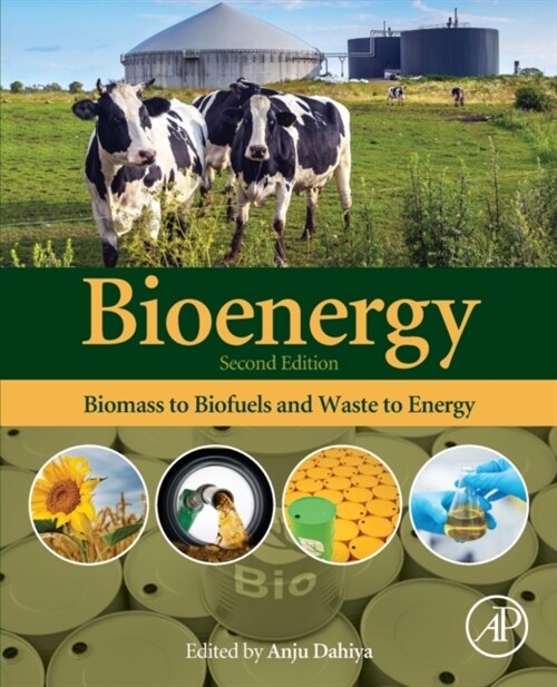 Bioenergy: Biomass to Biofuels and Waste to Energy (Paperback, 2)