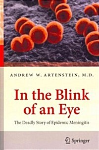 In the Blink of an Eye: The Deadly Story of Epidemic Meningitis (Paperback, 2013)