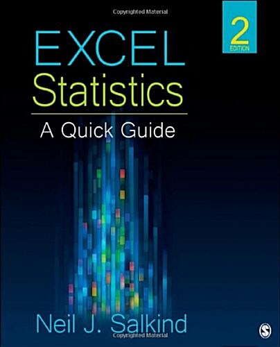 Excel Statistics: A Quick Guide (Paperback, 2)