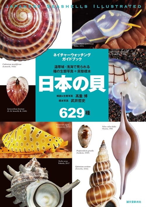 日本の貝629種