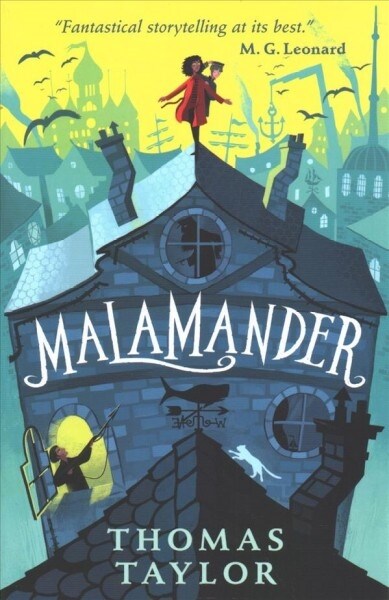 Malamander (Paperback)