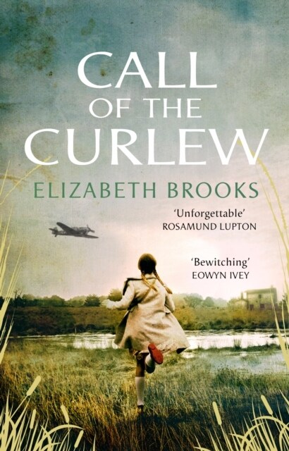 Call of the Curlew (Paperback)